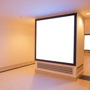 11 (1)
